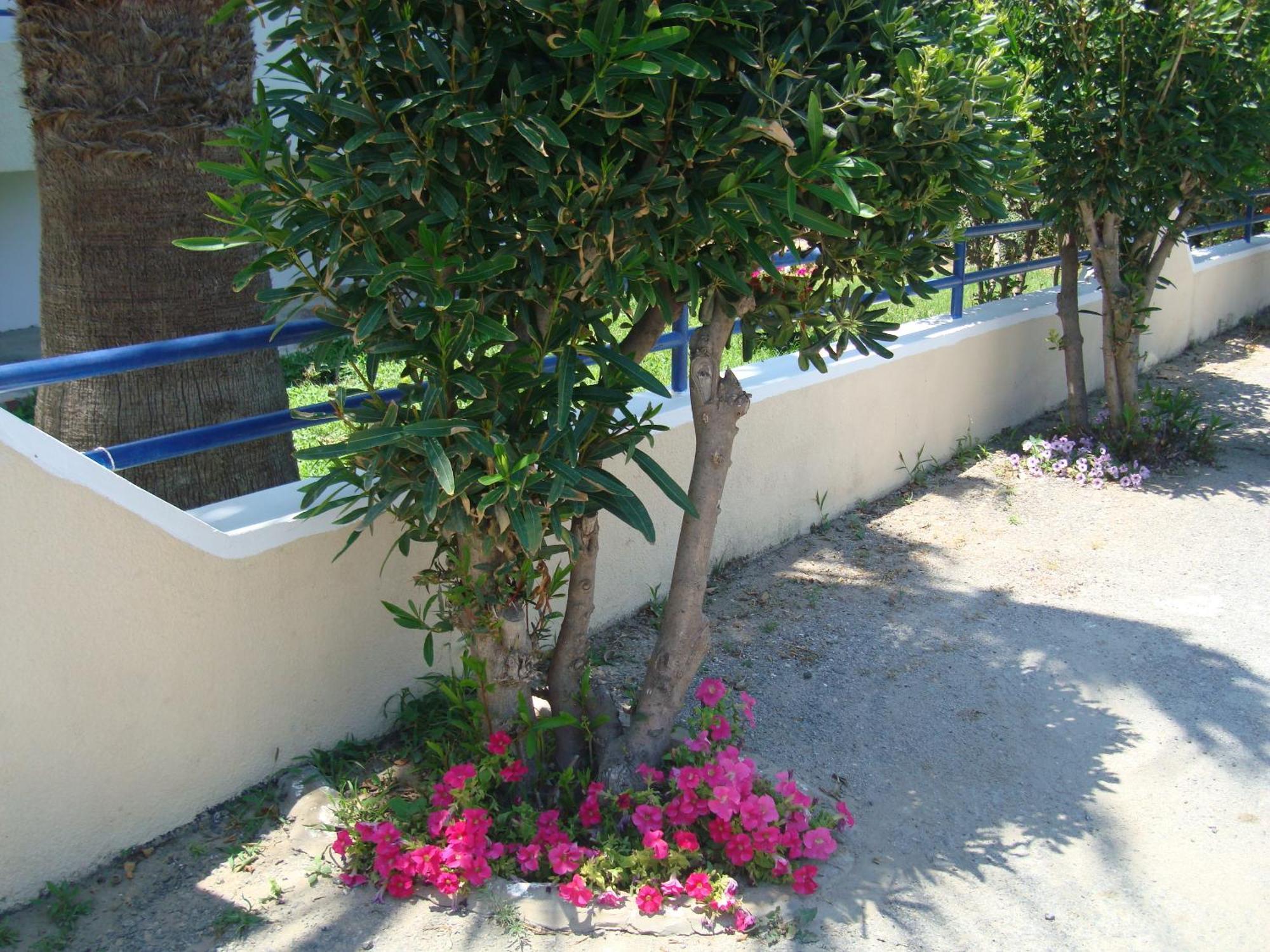 Philippos Studios & Apartments Kardamena  Extérieur photo